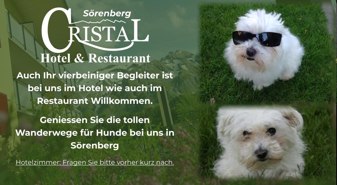 Hotel Cristal Soerenberg Zewnętrze zdjęcie